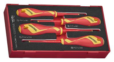Skruvmejselsats Teng Tools TEAMDV04N1 1000 V